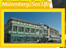 Klik hier voor meer informatie over appartement Muizenberg 'Sea Life'